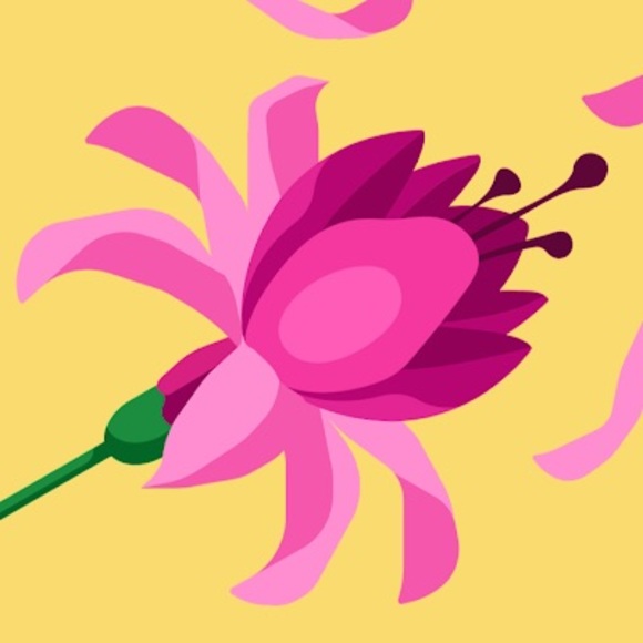 Meet your Posher, Latisha - Picture 1 of 1